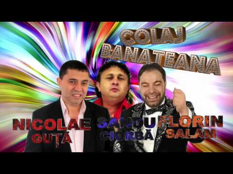 NICOLAE GUTA, SANDU CIORBA SI FLORIN SALAM - COLAJ BANATENE