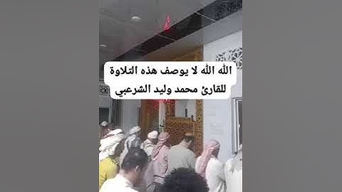 تلاوة لا توصف للقارئ محمد وليد الشرعبي.