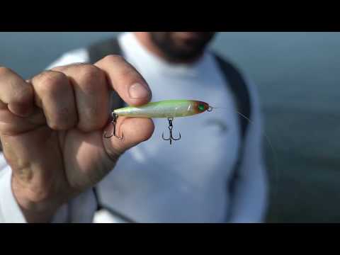 Pro Lure SK62 Pencil Top Water Fishing Lure