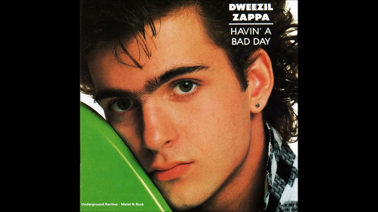Dweezil Zappa/Havin' a Bad DayメロハーAOR ZAPPA, ZAPPA - Havin; a Bad Day By Dweezil Zappa - Amazon.com Music
