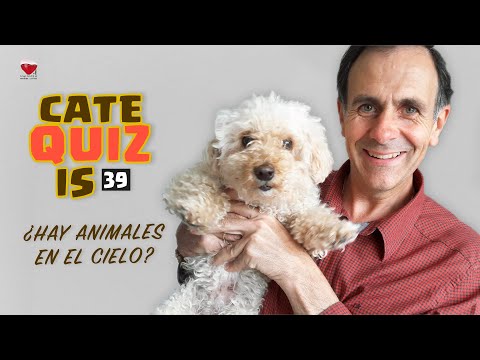 CATEQUIZIS 39 | ¿HAY ANIMALES EN EL CIELO? | Juan Manuel Cotelo