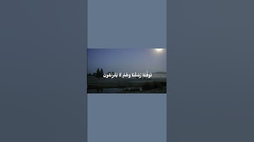 { وَهُوَ ٱلۡقَاهِرُ فَوۡقَ عِبَادِهِ } | سورة: الأنعام | ياسر الدوسري