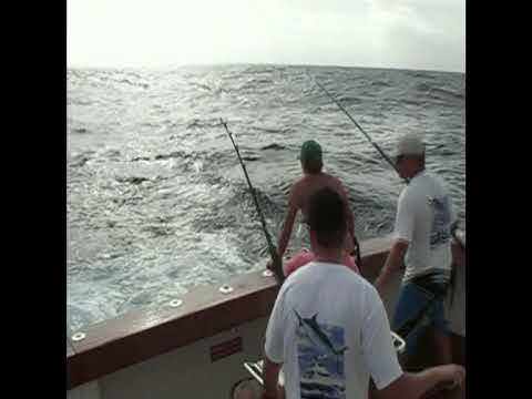 Attack of the Black Marlin