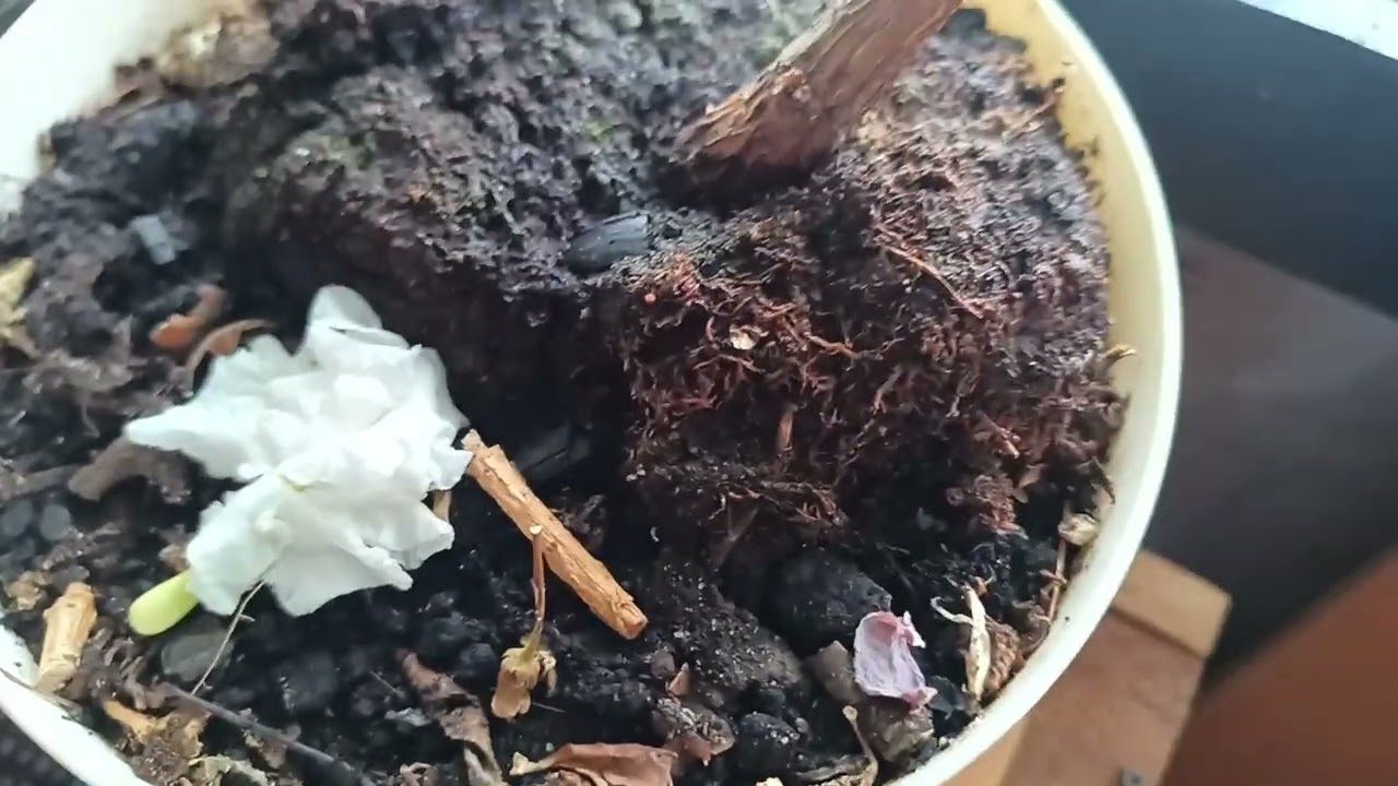 Сад и огород на окне, полезные девайсы проект стартанул.