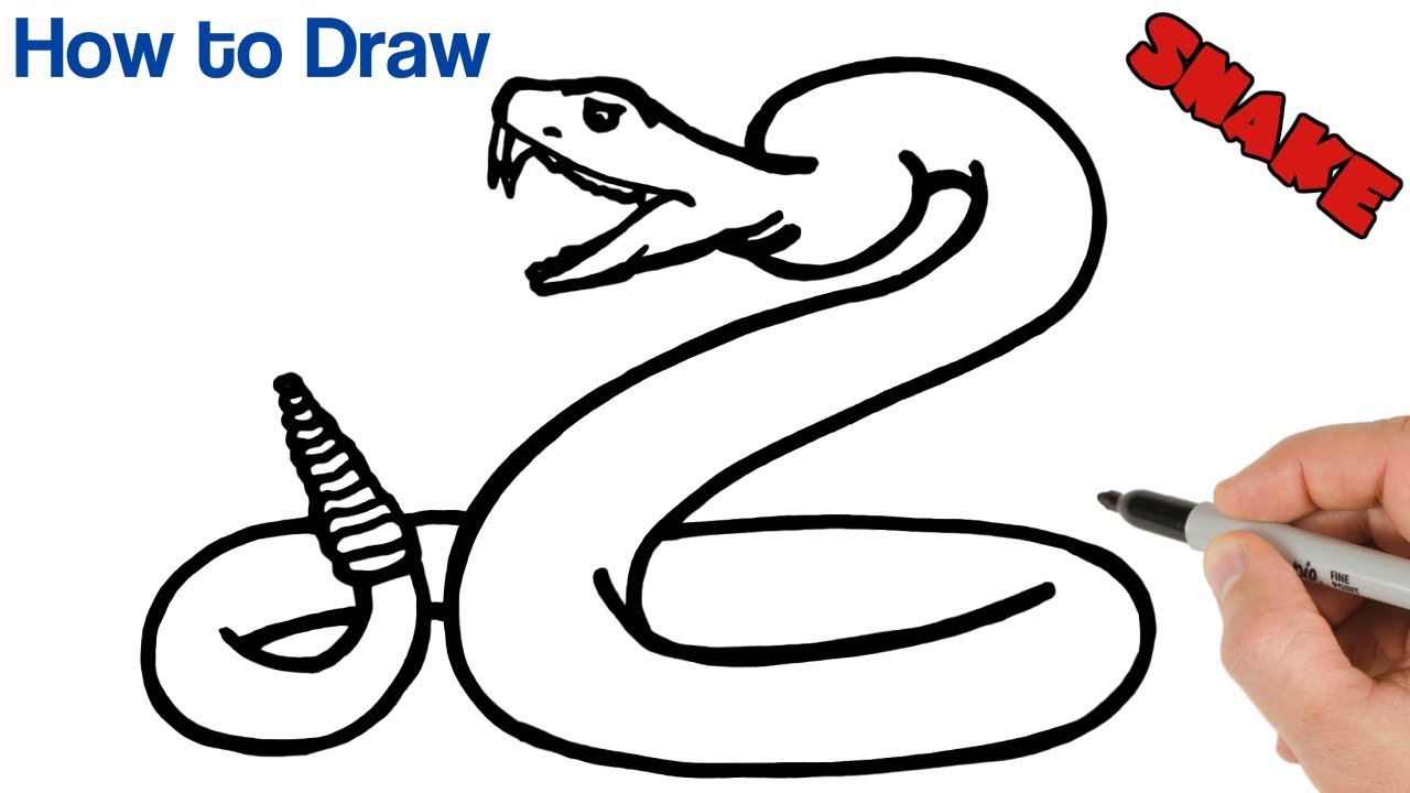 Featured image of post Cool Snake Drawing Images Snakes represent many powerful things psychologically and drawing images snake drawing snake tattoo moon drawing snake painting sketches