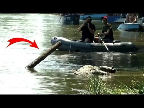 თავიდან ხე ეგონათ, მაგრამ ამოღების შემდეგ გაოცებულნი დარჩნენ!