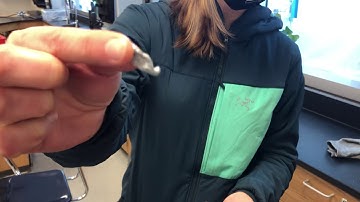 Unit 6 Lab 2 Reaction 2