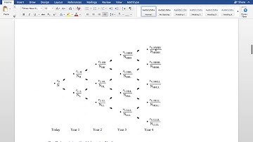 Fixed Income Securities - Valuing Bonds with Embedded Options - Chapter9_pt3