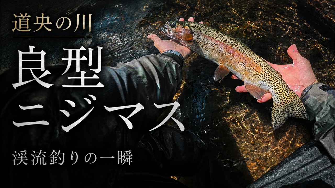 渓流トラウト】ニジマスの引きを堪能する渓流釣り【ネイティブトラウト