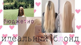 Как достичь идеального блонда ?! БЮДЖЕТНО 💗 В домашних условиях . осветление волос . Как достичь идеального блонда ?! БЮДЖЕТНО 💗 В домашних условиях . осветление волос .