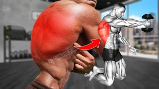 7 BEST Exercises For THICKER 3D Back