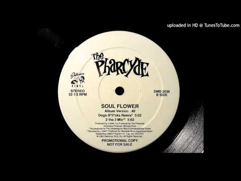 The Pharcyde - SoulFlower (Album Version) - YouTube