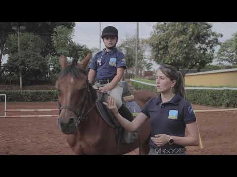 Vídeo: Lições de Equitação Desmontada