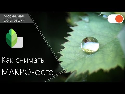 Video: Kako Se Snima Makro Fotografija