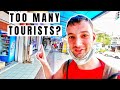 Are the CAMERON HIGHLANDS in Malaysia too touristic? Traveling Malaysia - Episode 5