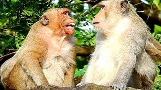 Million Pity Poor Sweetpea Cry Loud Tell His Father Fillip, Sweetpea Very Hurt On Face