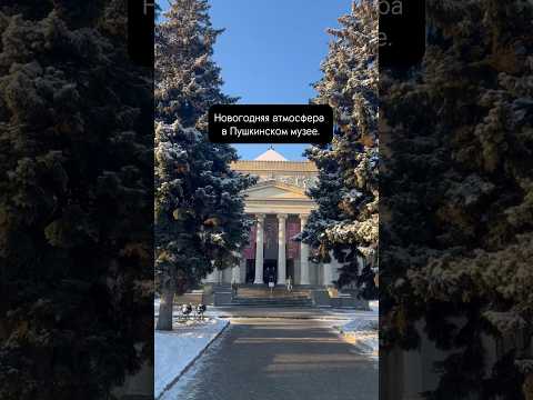 Video: Puškini muuseum Moskvas: aadressid, filiaalid, üritused, ekskursioonid