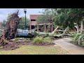 Storm impacts famus campus similar scenes across our neighborhoods