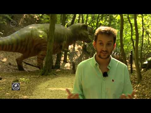 Videó: Hogyan állítsunk össze Egy Dino Készletet