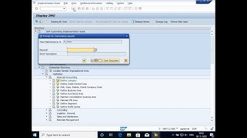 Create Transport Request (TR)/ Customizing Request (CR) in SAP