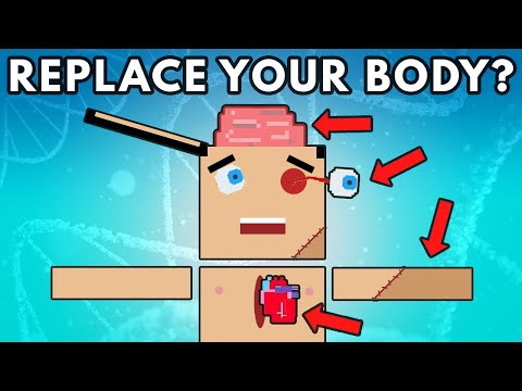 How Much Of Your Body Can Be Replaced?