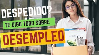 How Unemployment Works in the United States
