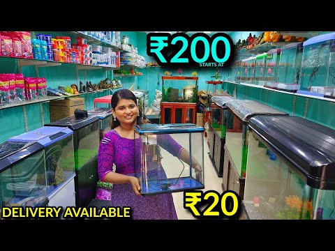 Cheapest Imported Fish Tanks 200₹ முதல் | 20₹ முதல் Accessories | Kolathur