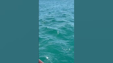 #islamicvideo #اكسبلور #المصحف #nature #الرحمن #تلاوة_خاشعة_تلاوة_هادئة_تلاوة