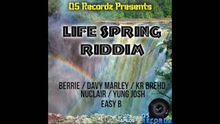 Dj trigga- LifeSpring Riddim Mix
