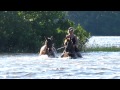 Summer fun with the horses