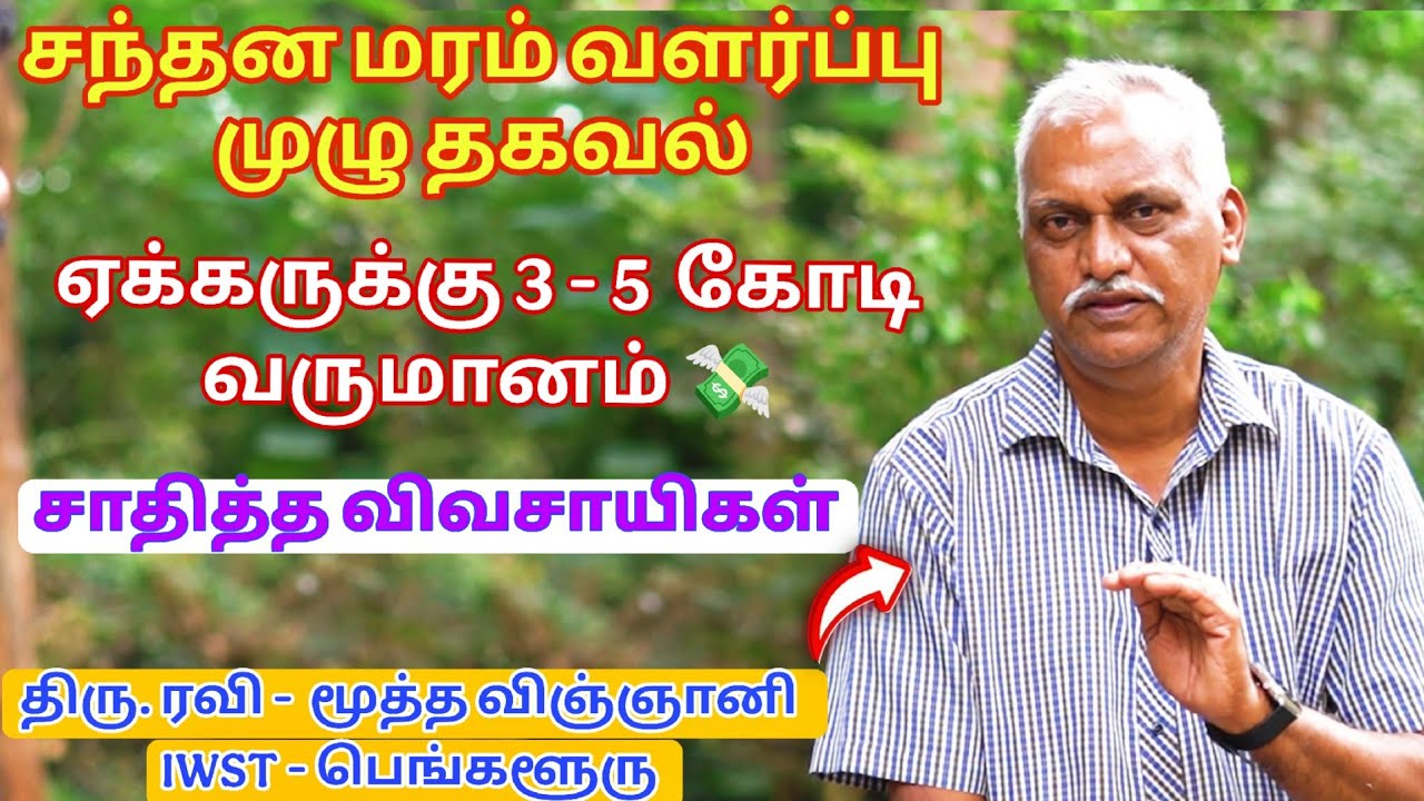 ஏக்கருக்கு 3- 5 கோடி வருமானம் 🌱சந்தன மரம் வளர்ப்பு 🌱 சாதித்த விவசாயிகள் / Success story 