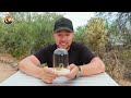 STUNG by a Scorpion!