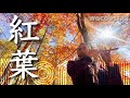 紅葉 / 5拍子アレンジ 篠笛 Wacoustic Music【MV】