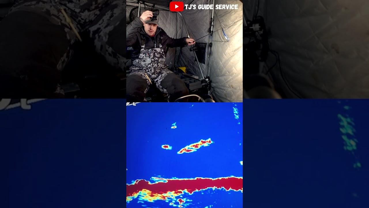 ГИГАНТСКАЯ рыба на LIVESCOPE!