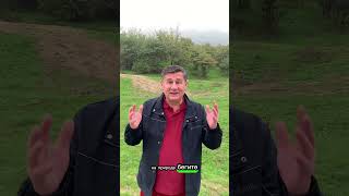 Верни свою легкость и радость жизни! Онлайн прием, запишись #методключ