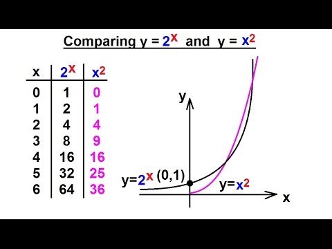 Precalculus Exponential Function 4 Of 13 Comparing Y 2 X And Y X 2 Youtube