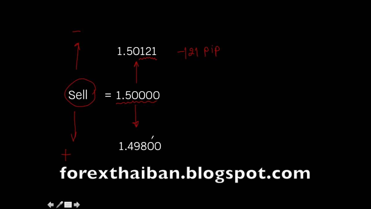 pip value ทอง list