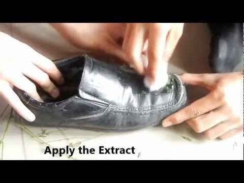 charcoal shoe polish