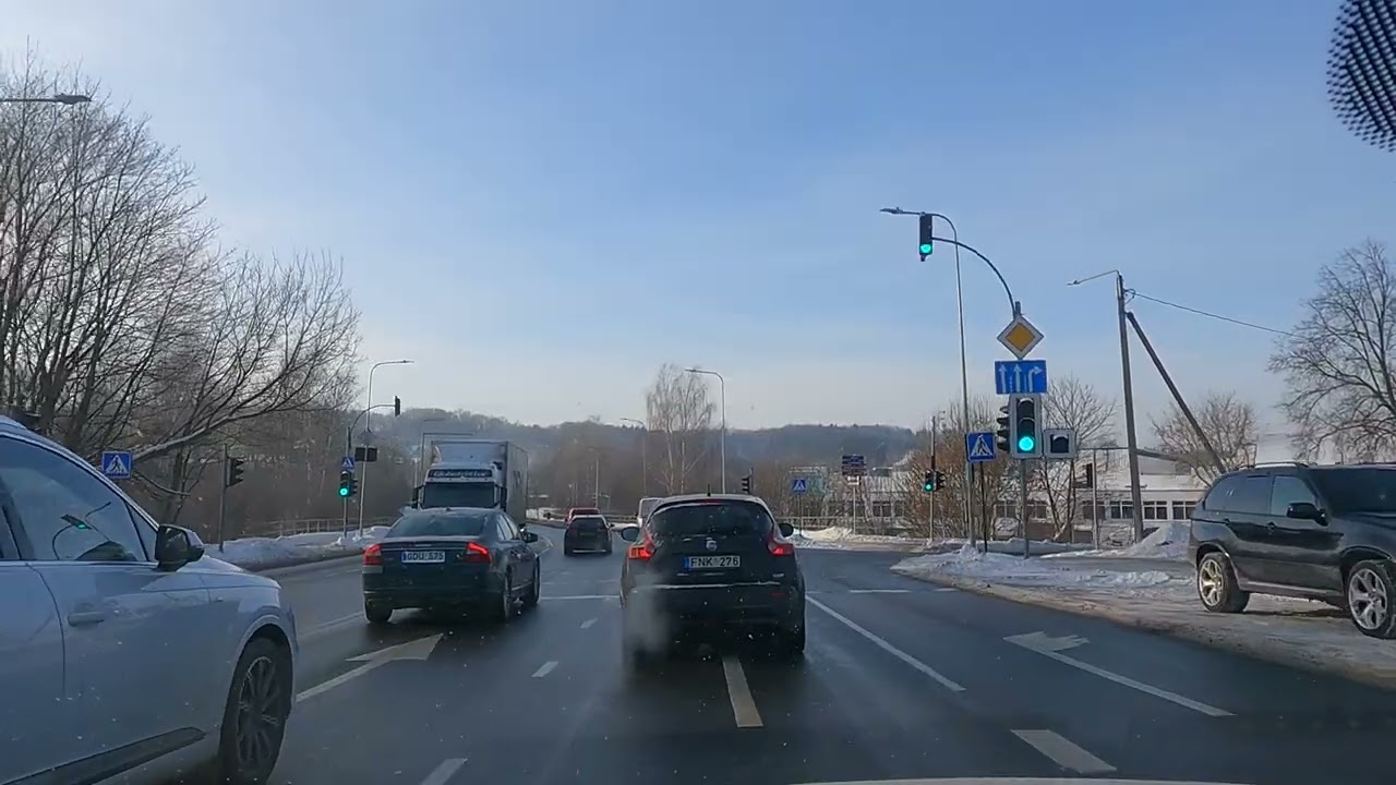 Живописная поездка из Мицкунаи в Вильнюс под музыку Джо Рогана - Литва 🇱🇹