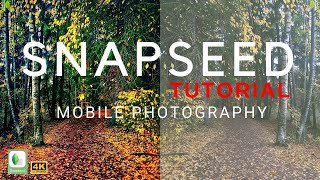 Snapseed Tutorial - Colorizing autumn photos screenshot 1