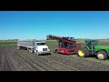 Beet Harvest 2020