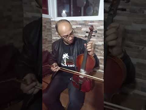 تقسيم رائع مع فنان بدر بدر كمان الرباطي احسن كوامنجي 2023