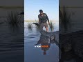 Intense Crocodile Hunt: Taking Down a Territorial Bull