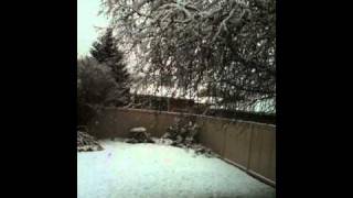 Winter Arrives in Calgary Oct 15 2010