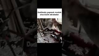 Doğru değl mi #keşfet #shorts #bassboosted #viral #dj #remix #edm #car #fypシ #trend