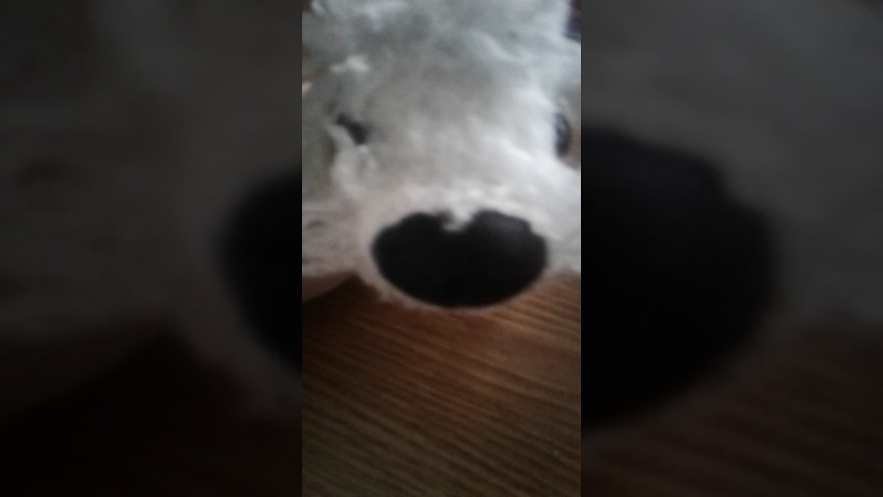 Рекомендация