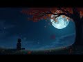 Lofi Night Music for Relax, Study, Sleep & Chill 🎶