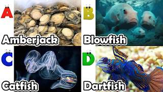 Toddler Learning - Learn Ocean Animals | Educational Videos for Kids | Learning Videos for Toddlers