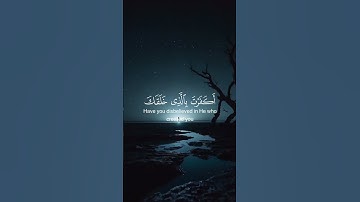 #الله #اكسبلور #explore #لايك #الصلاه #القران #المنشاوي #المنشاوي_الباكي #تلاوة_خاشعة #fyp