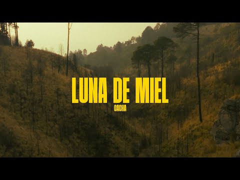 CACHA - LUNA DE MIEL (Visualizer) | ⭐️ STELLAR